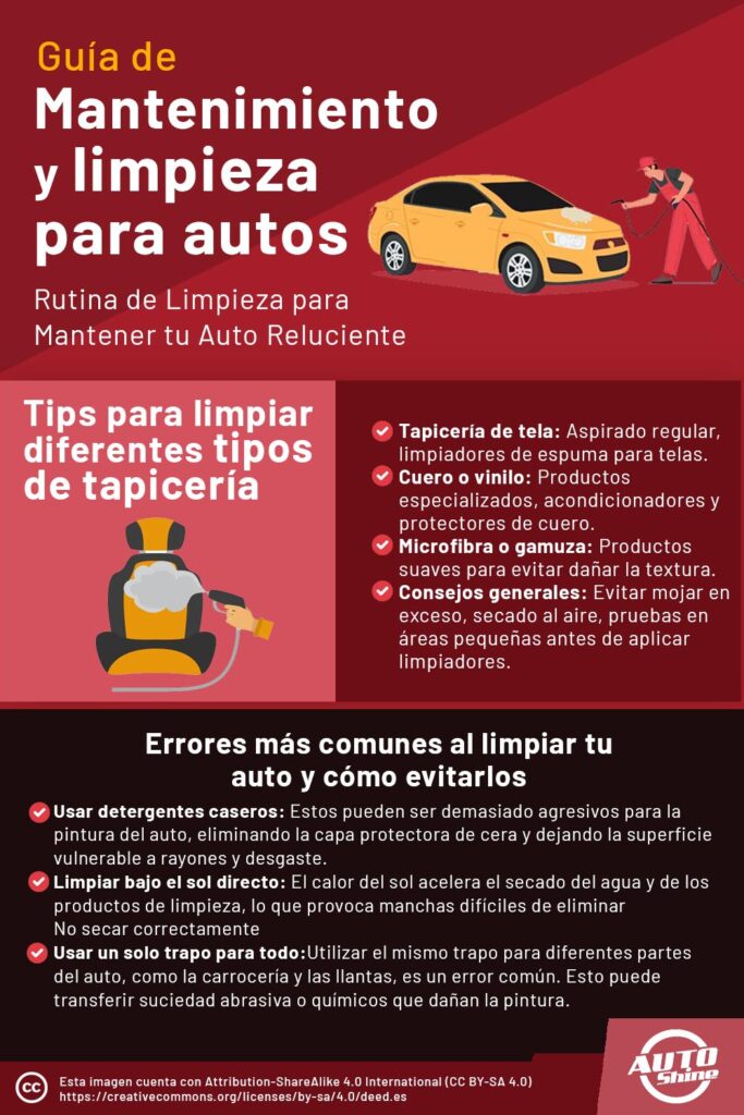 Mantenimiento y limpieza para autos